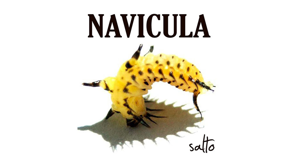 Everyone Goes to Heaven is one of 14 tracks on Navicula’s Salto album