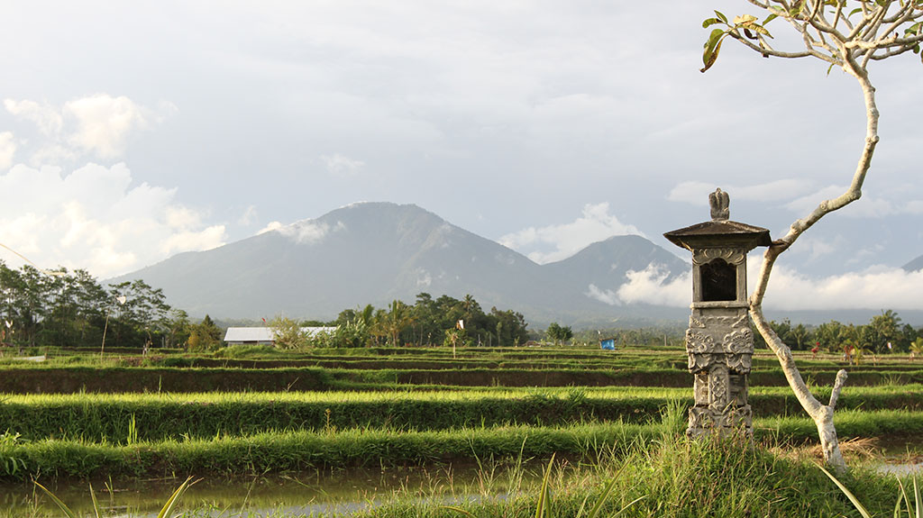 Bali during Nyepi -empty ricefields