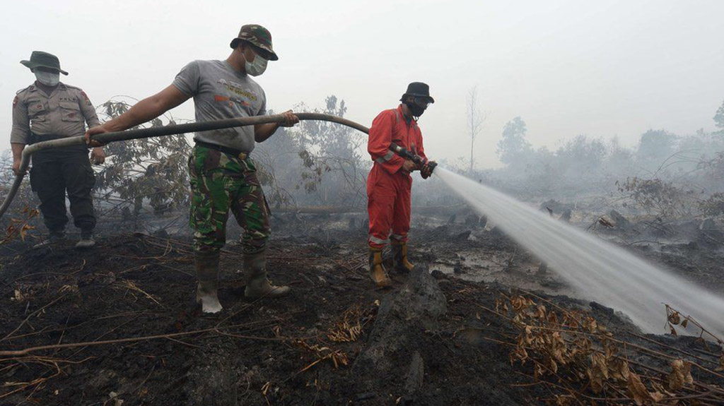 Dousing out a peat fire is difficult as it can burn underground, so the entire area needs to be swamped with water (source bbc.com)